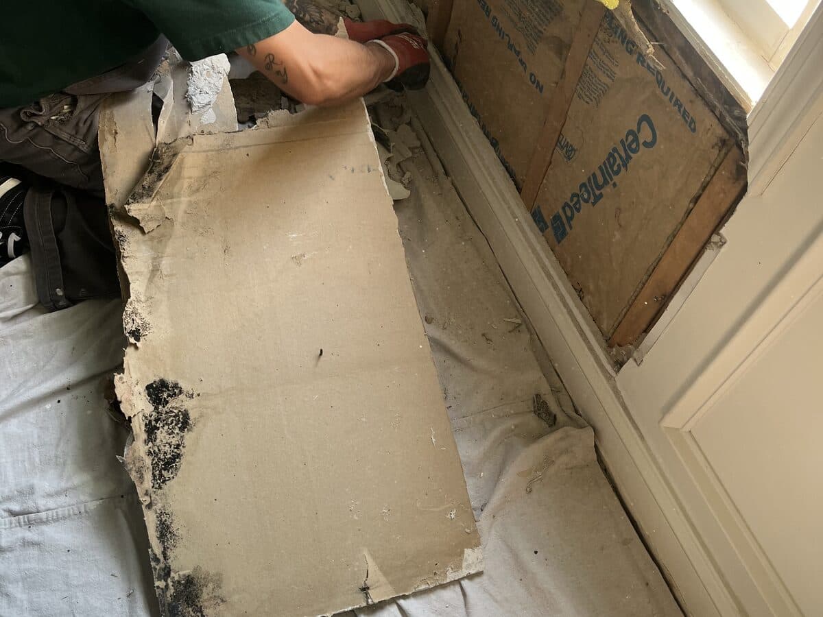 Technician removing a mold-damaged drywall panel to expose the wall cavity