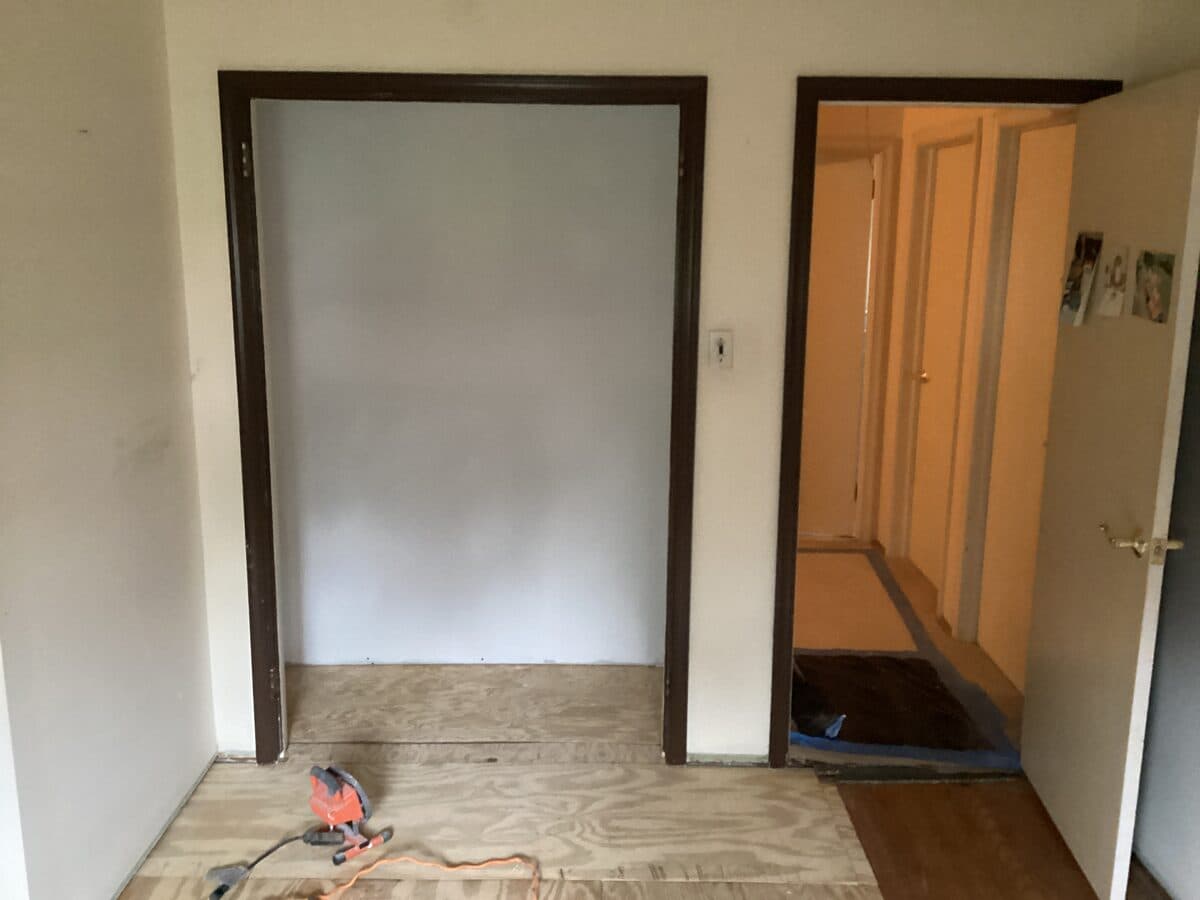 Mold Remediation — Closet Wall · Mold Remediation — Remediated