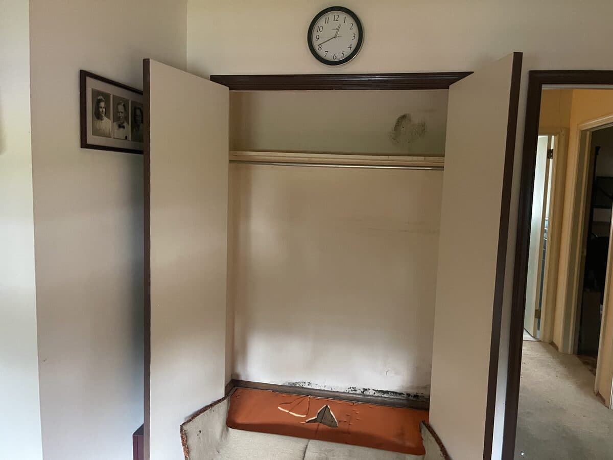 Mold Remediation — Closet Wall · Mold Remediation — Before