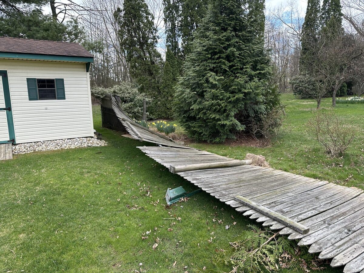 Storm & Wind — Rear Fence Line — before